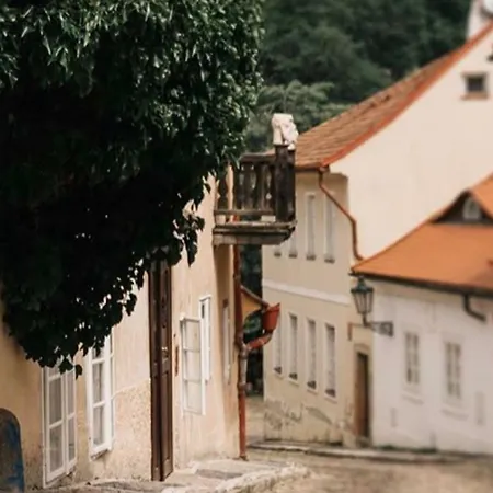 Timmy 5* Prag